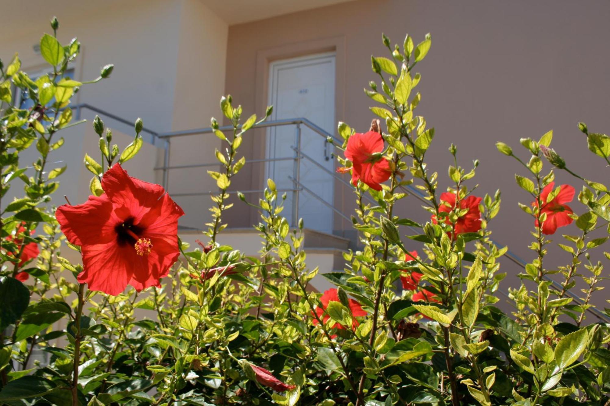 Amaryllis Front Beach Hotel ลาร์ดอส ภายนอก รูปภาพ