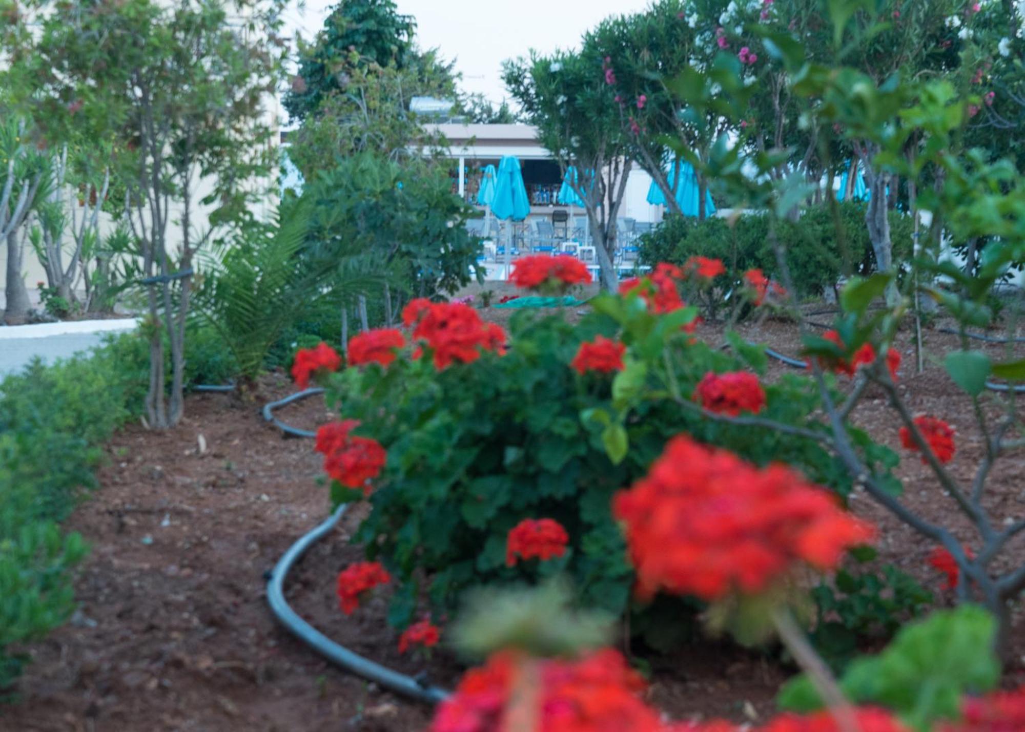 Amaryllis Front Beach Hotel ลาร์ดอส ภายนอก รูปภาพ